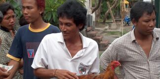 Indonesia – Bali – Cockfighting – 2