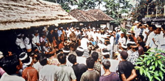 Indonesia – Bali – Cock Fighting – 1