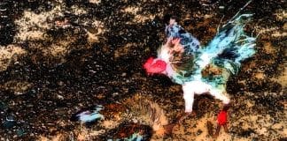 Indonesia – Bali – Cock Fighting – 6bb