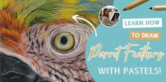 Learn how to draw PARROT FEATHERS with pastels! – Sabine Lackner Fine Art