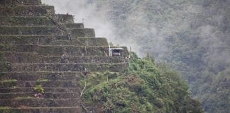Rice terraces in Pula