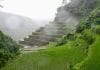 Rice terraces