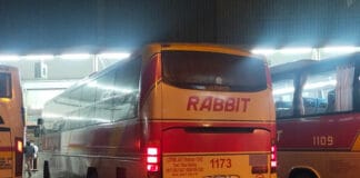 Philippine Rabbit 1173