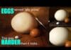 OIL PAINTING TUTORIAL FOR BEGINNERS: Painting a simple Egg (x3) ALLA PRIMA style!