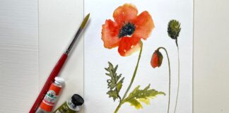 How To Paint a Poppy in Watercolor – Easy Way to Master Poppies, Buds & Leaves in Loose Watercolor