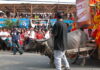 pulilan fiesta