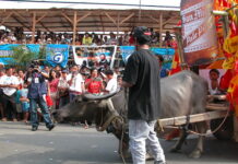 pulilan fiesta