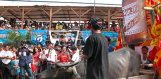 pulilan fiesta