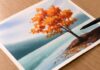 Watercolor Painting for Beginners / Autumn Lake Scenery / Step by Step Tutorial