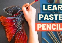 How to use Pastel Pencils – Complete Beginners Guide