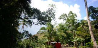 Philippines