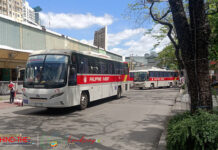 Philippine Rabbit 1179 & 1173